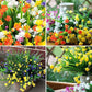 🔥Hot Sale - 50% OFF🔥Outdoor Artificial Flowers💐