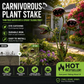 🔥50% OFF 🌻Plants vs. Zombies comes to life！🏡Whimsical Metal Carnivorous Plant Garden Stake