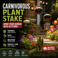 🔥50% OFF 🌻Plants vs. Zombies comes to life！🏡Whimsical Metal Carnivorous Plant Garden Stake