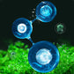 🌱【Algae King】Crazy Aquatic Weed Algae Remover🐟