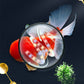 🌱【Algae King】Crazy Aquatic Weed Algae Remover🐟