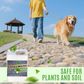 ⏳Time-limited Special⏰Quick-Drying Sticky Landscape Adhesive - Instant Hold, Zero Mess! 🌿✨