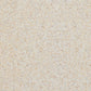 🎨2025 Matte Mara Stone Art Wall Paint for Outdoor & Indoor - The Ultimate Wall Covering Choice🌿