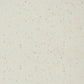 🎨2025 Matte Mara Stone Art Wall Paint for Outdoor & Indoor - The Ultimate Wall Covering Choice🌿