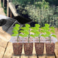 ⏰Limited offer 49% discount🔥Seed Starter Trays with Grow Light