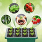 ⏰Limited offer 49% discount🔥Seed Starter Trays with Grow Light