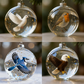 🎁Nature's bird's-eye glass-like spherical ornaments