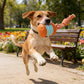 🎁2026 New Arrivals 50% OFF💥Interactive Rolling Ball Toy for Dogs