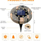 🔥 Hot sale 50% OFF🔥Solar In-Ground Lights