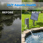🔥50% OFF!! 🔥 Solar Pond Aerator with Air Pump