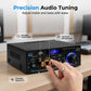 ⏰🔥LIMITED TIME 51% OFF!🔥Digital Amplifier for Karaoke and Music