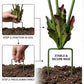 🔥50% OFF 🌻Plants vs. Zombies comes to life！🏡Whimsical Metal Carnivorous Plant Garden Stake