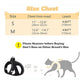 Reflective Mesh Harness and Leash Set for Cats & Small Dogs