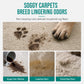 Waterless Fabric and Carpet Cleaner